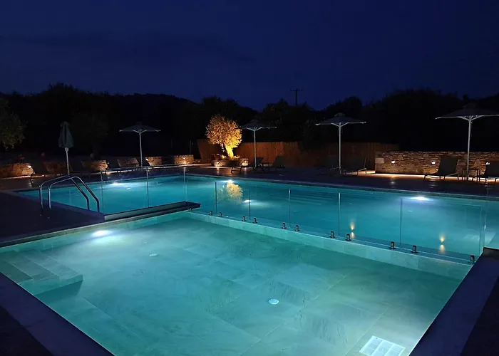 Olivista - Live In Nature 3*