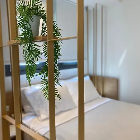 Olivista - Live In Nature