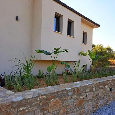 Olivista - Live In Nature Astris